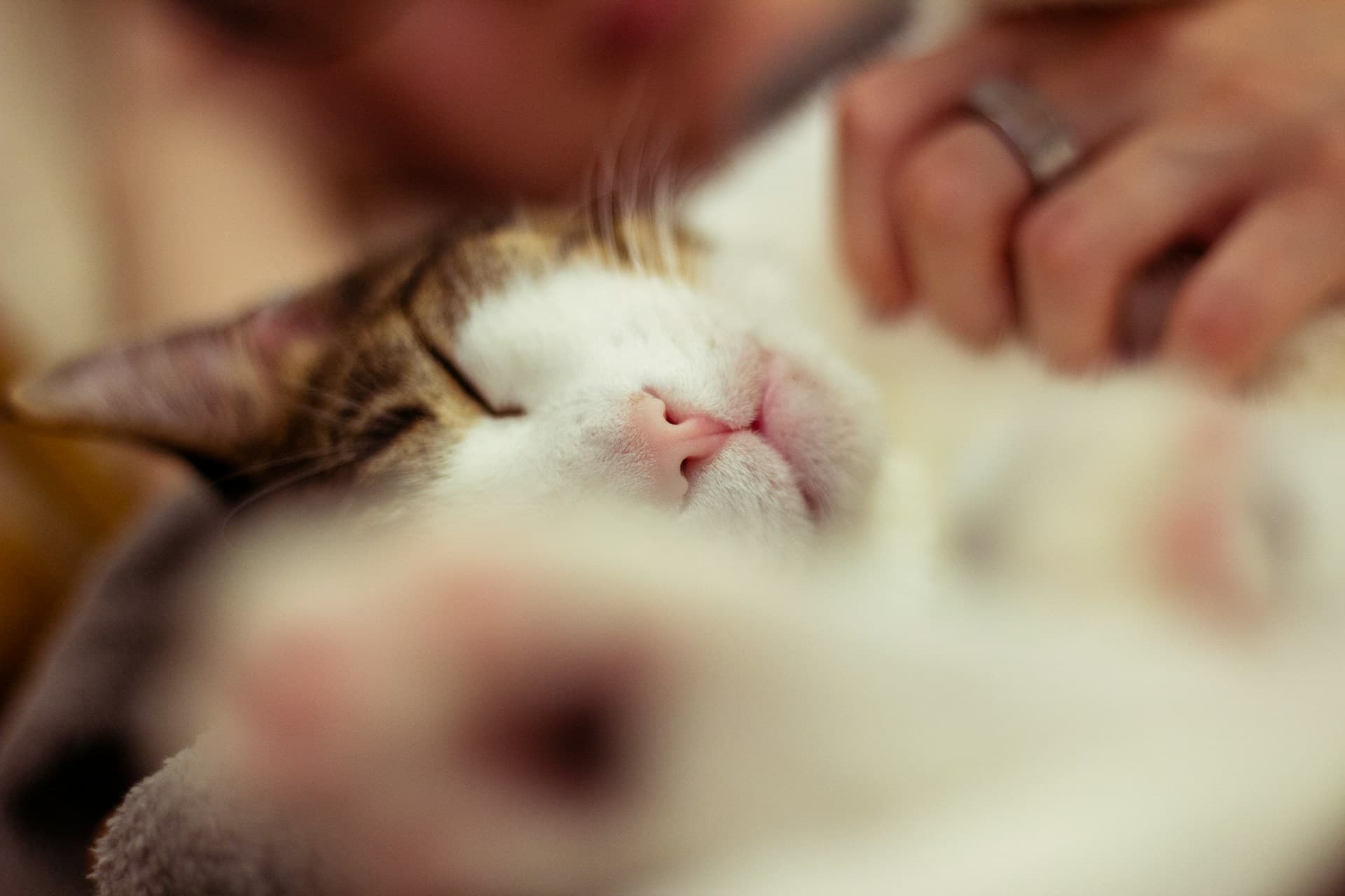 Privacy Policy image